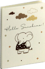 albumi za fotografije foto albumi 1011101118332