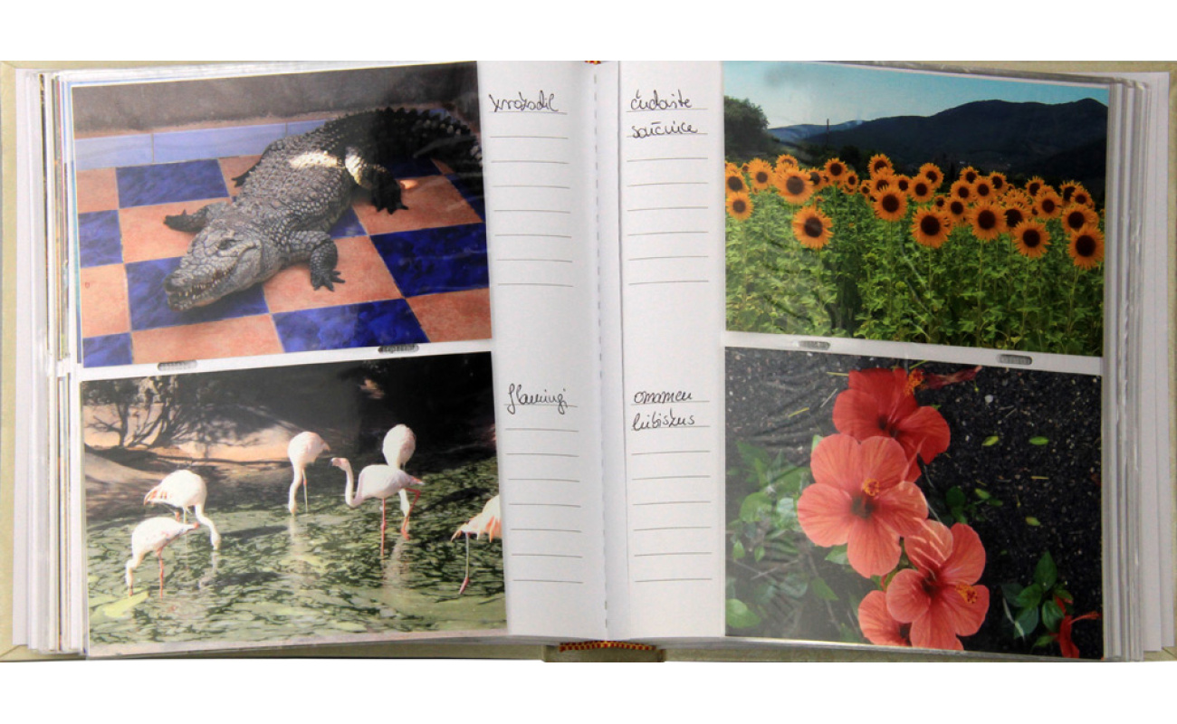 albumi za fotografije foto albumi 1012121416841 1