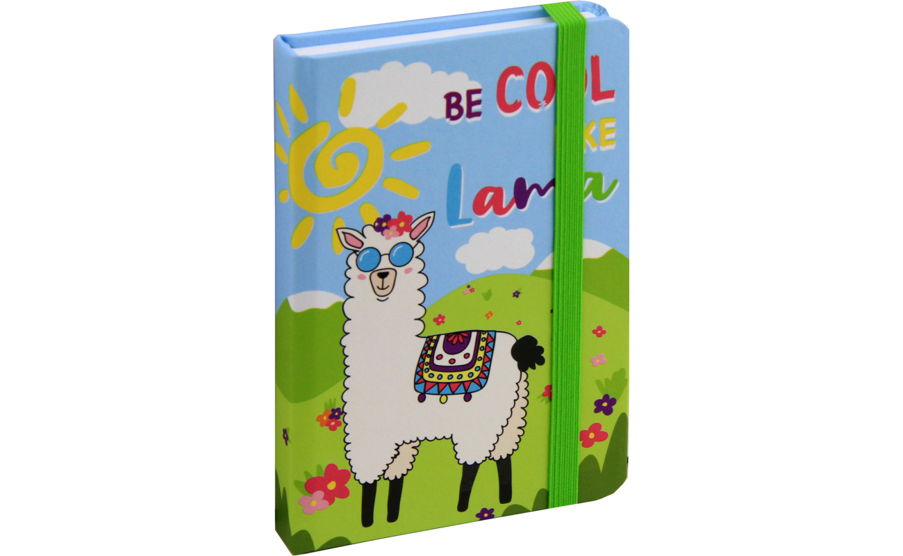 notesi spiralni zvezki za pisarno 1517102417894