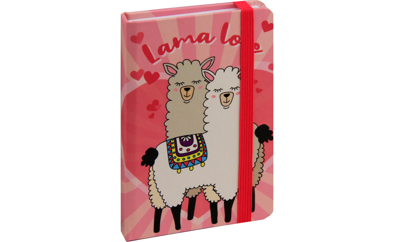 notesi spiralni zvezki za pisarno 1517102417895