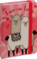 notesi spiralni zvezki za pisarno 1517112417852