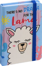 notesi spiralni zvezki za pisarno 1517112417854