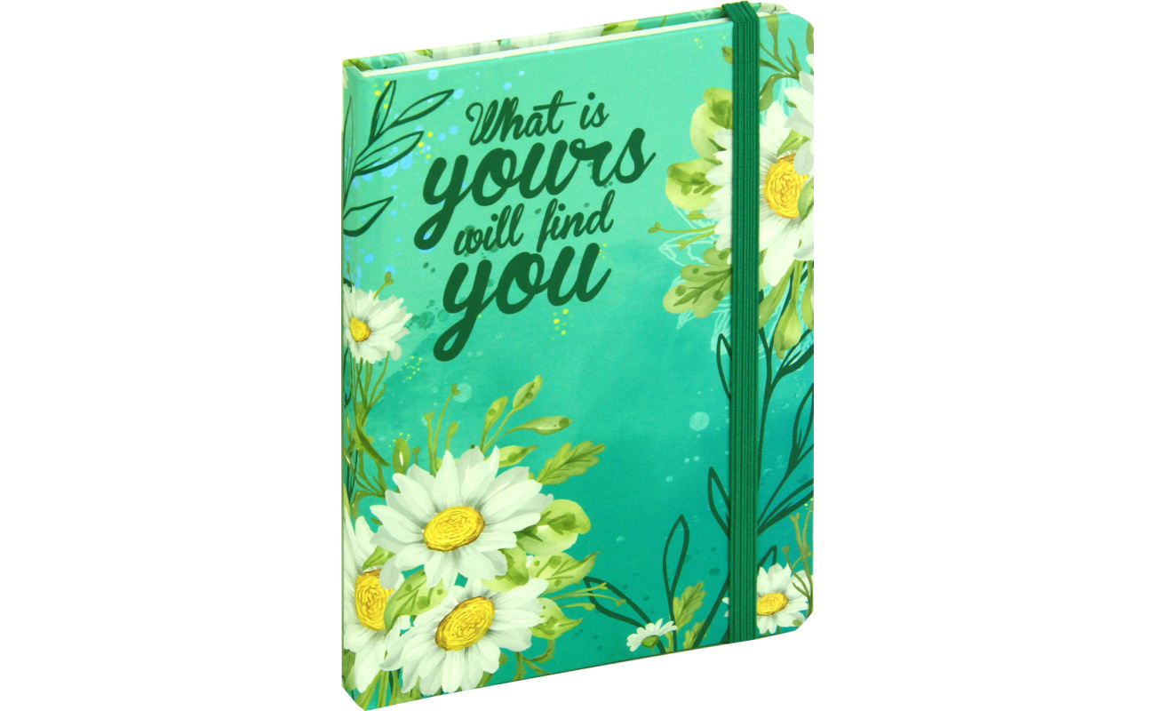 notesi spiralni zvezki za pisarno 1517112418252